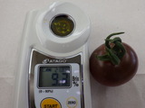 RIMG8576