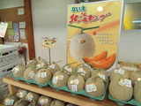 北海キング