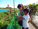 DSCF2690