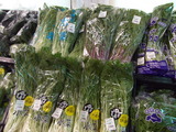 JA伊達市・水菜