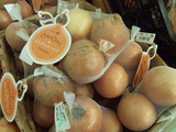 ONIONI