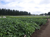 RIMG0058