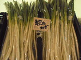 軟白ネギ