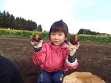 DSCF3348