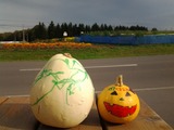 20131015_091611