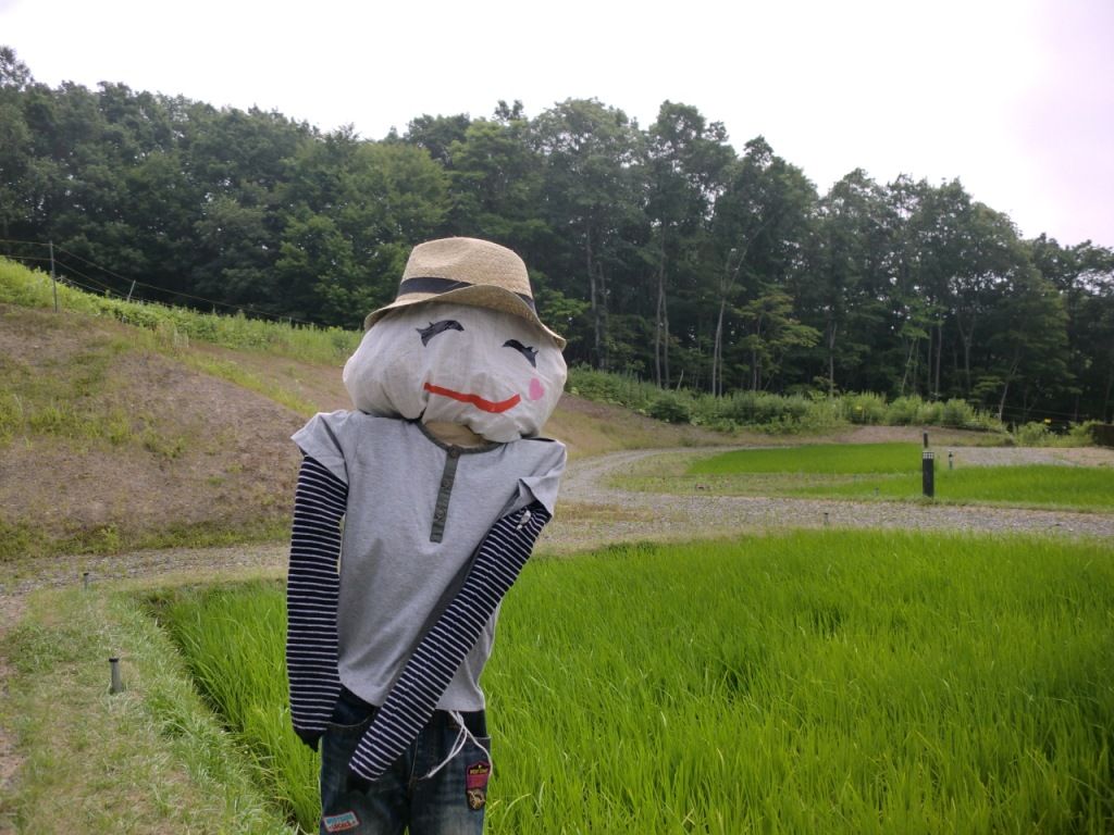 くるる日記 田んぼの案山子 くるる日記 田んぼの案山子
