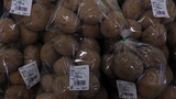 きたあかり