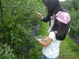 RIMG9811