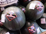 JAふらの 黒小玉すいか