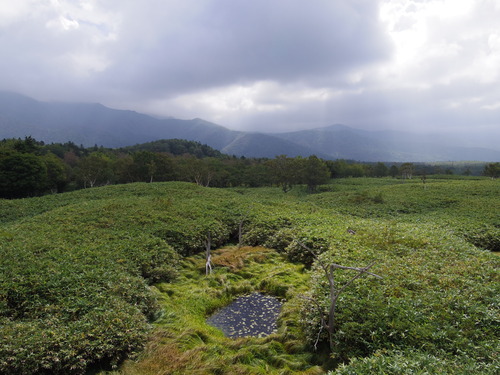 IMGP7462