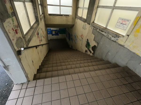 GOPR2540