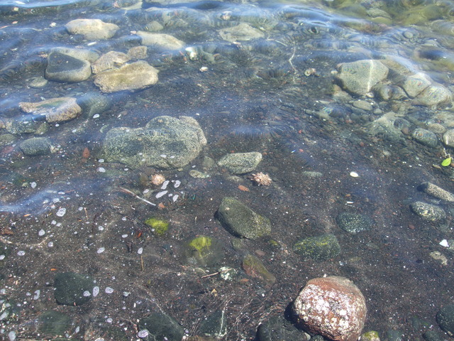 DSCF3139