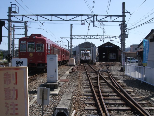 DSCF4554