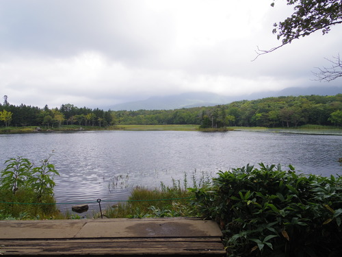 IMGP7437