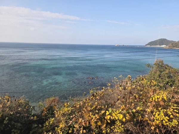 �����������������ն�μ��뤫�鸫���볤