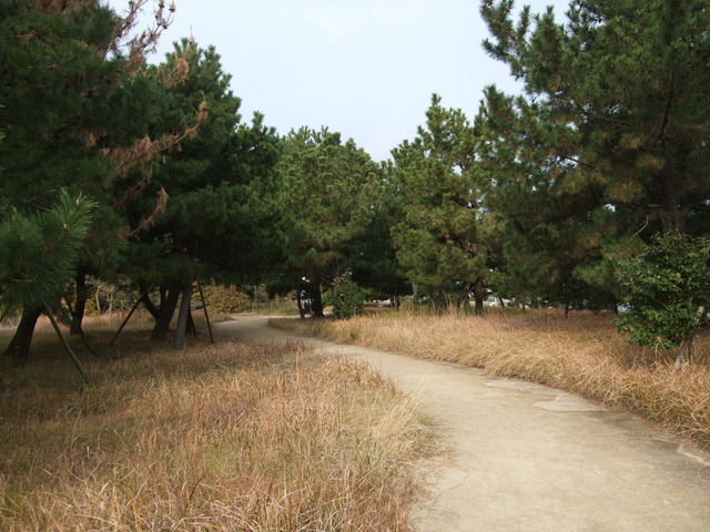 DSCF4315
