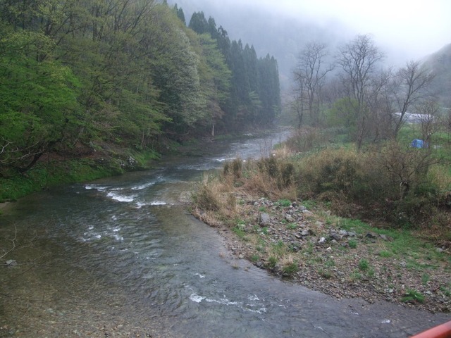 line_265737966848767