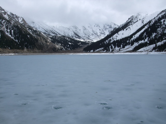 DSCF5931