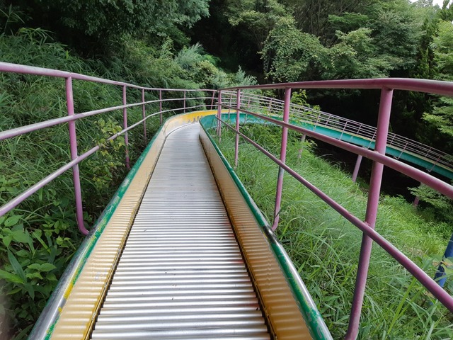 20200726_074743