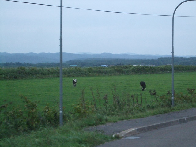 DSCF3433