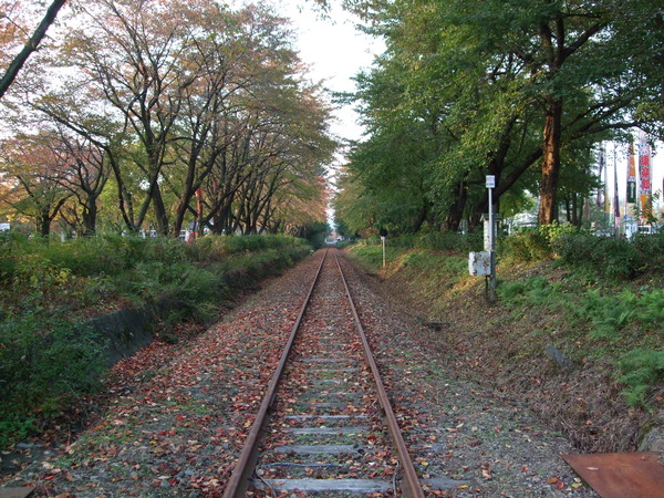 DSCF8392