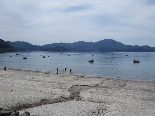 line_265655851823710