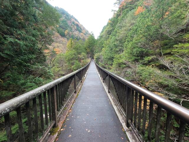 吊り橋が怖い 秘境 天川村みたらい渓谷を観光してきました ドライブにおすすめ あいまいだいありー