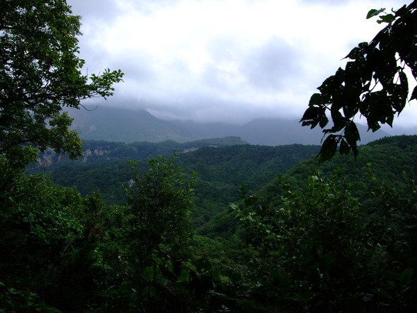 DSCF7147