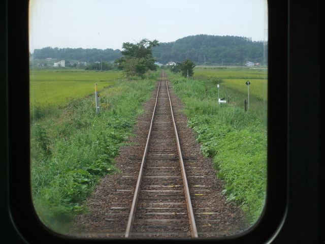 DSCF3341