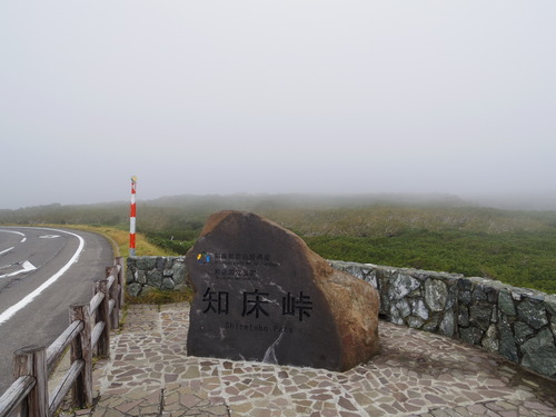 IMGP7465