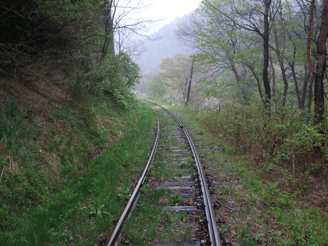 line_265718150801666