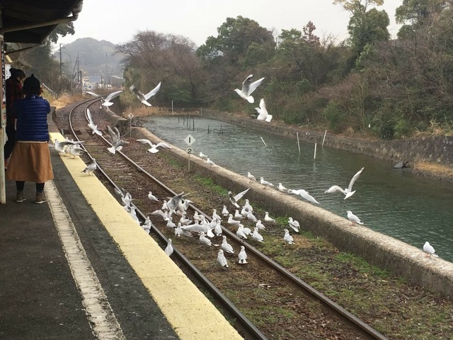 line_308797271934471