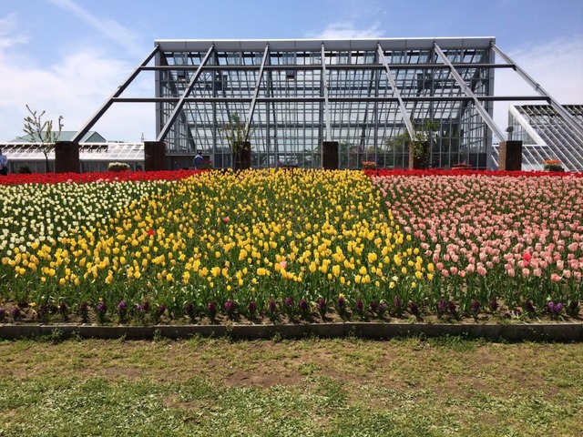 line_265810090340908