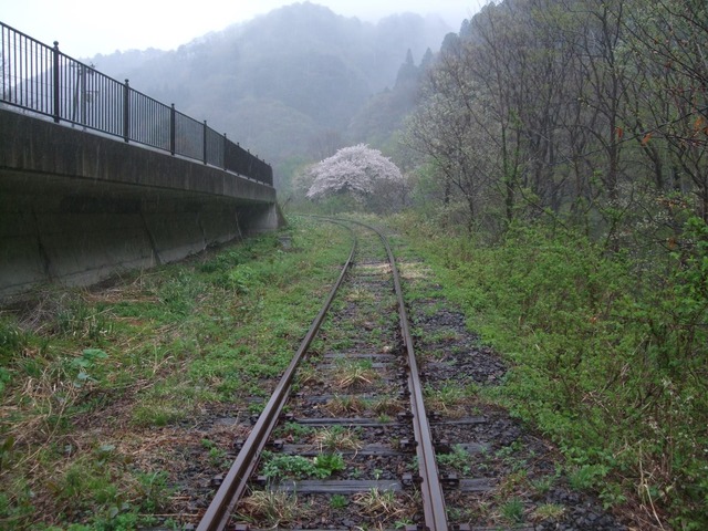 line_265728014279967