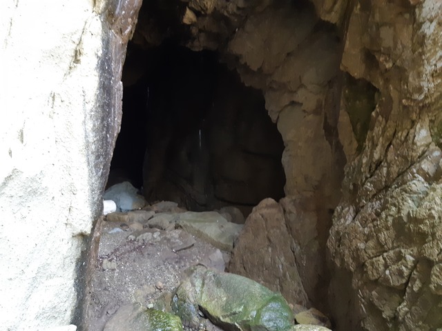 20190728_104135