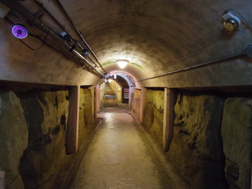 IMGP2283