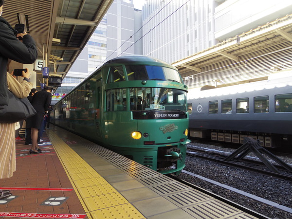 IMGP6206
