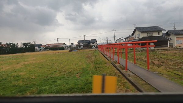Snapshot_15