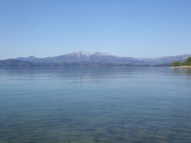 line_265677033164118