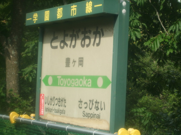 DSCF3334