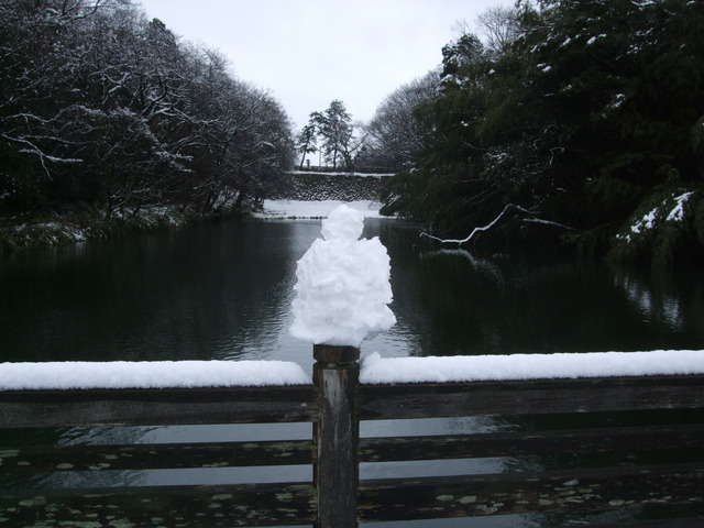DSCF1447