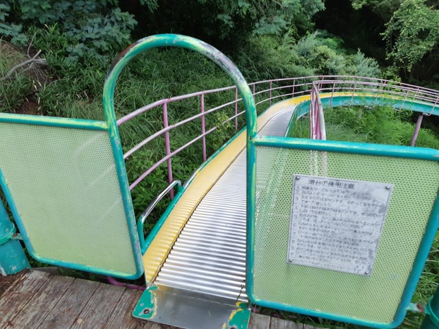 20200726_074740