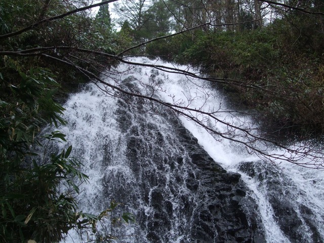 line_265715623460706