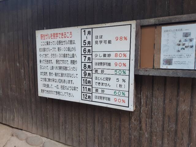 淡路島モンキーセンター 淡路島の果てで出会ったものは 淡路島ドライブ あいまいだいありー