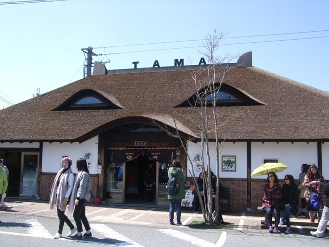 DSCF4562