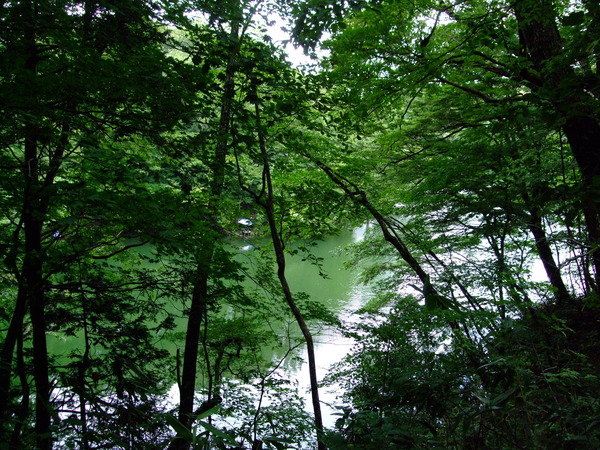 DSCF7144