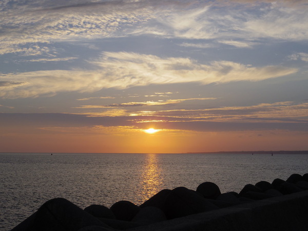 IMGP2635