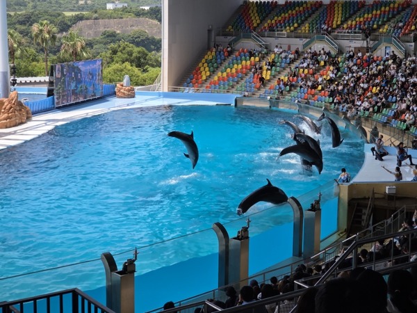 白浜子連れ日帰りアドベンチャーワールドの鉄旅