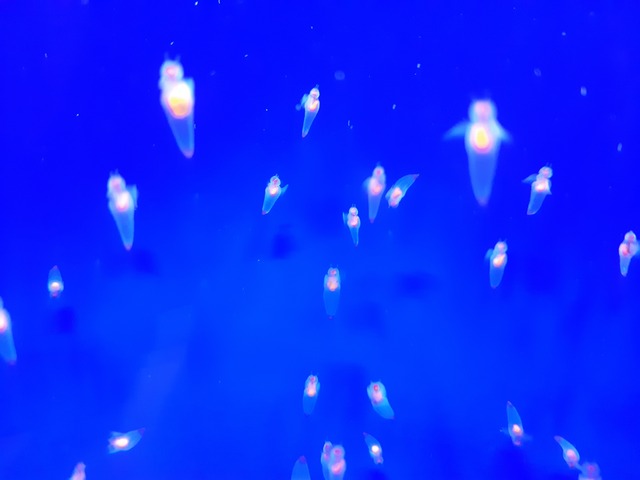 20191230_110620