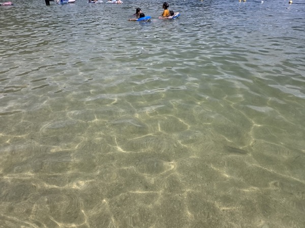 20260815_105915